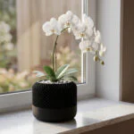 Ваза-кашпо большая «HomePod» Ваза-кашпо большая «HomePod»